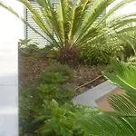 Le Vele Pietra Ligure